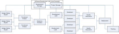 Strategies In Managing A Software Development Team Mario