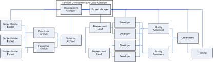 strategies in managing a software development team mario