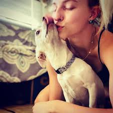 Lost Dog in East Peoria, Illinois