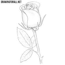 These two love birds are spinning each other around while holding each other's hands. How To Draw A Princess Easy Rose Drawing Simple Rose Drawing Drawing Tutorial