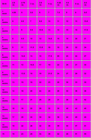 Teacup Yorkie Weight Chart Chihuahua Puppy Weight Chart In