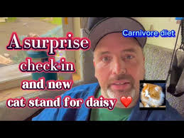 Carnivore : A quick check in and new cat stand for Daisy