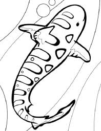 Leopard Shark Coloring Pages Shark Coloring Pages Leopard Shark Cartoon Coloring Pages