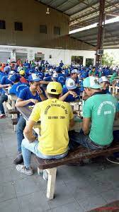 Maybe you would like to learn more about one of these? Forescom Plywood Sdn Bhd 60 19 483 6394 97000 Bintulu Sarawak Malaysia