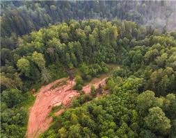 How much do lawyers make? Dentons Environment And Natural Resources