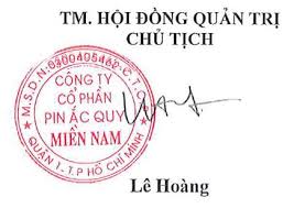CÔNG TY CỔ PHẦN PIN ẮC QUY MIỀN NAM