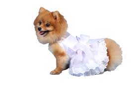 Hochzeitskleid für den schönsten tag im leben auswählen. Chihuahua Hochzeitsmode Von Doggydolly
