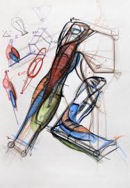 Photos Du Mur Du Groupe Vk In 2020 Figure Drawing Reference Anatomy Sketches Human Anatomy Drawing