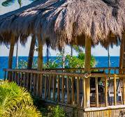 A tiki hut with a thatched roof on the beach photo – Free ...