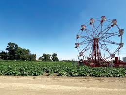 Maybe you would like to learn more about one of these? Pumpkin Fest Gripped By State Hands News Championnewspapers Com