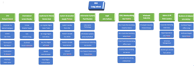 Organizational Complexity Jess