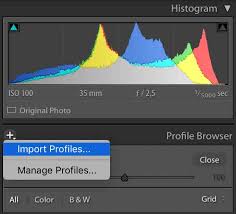 Note that this functionality was learn how the new dng camera profiles in adobe photoshop cs4 and lightroom 2 can easily adjust how to change the default settings for a particular camera in lightroom, so new files will import. How To Install Lightroom Presets The Easiest Way Updated 2019
