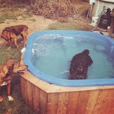 Even small backyards can have pools and landscaping that enhances your outdoor experience! Tiny Pools Canada Home Facebook