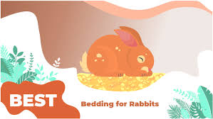 This stuff makes a huge difference in the smell. The 5 Best Bedding For Rabbits In 2021 We Re All About Pets