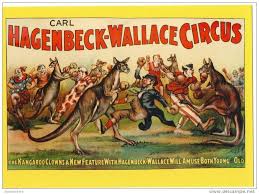 Vintage Photos Of Kangaroos Google Search Kangaroo Drawing Circus Poster Vintage Postcard