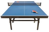 Table Tennis Definition In The Cambridge English Dictionary