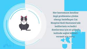 Cat Hospital Resmi Web Sitesi