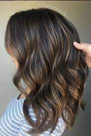 20 Hair Colors For Brunettes Going Gray Hardly Any Ladies Are Brought Into Th Fall Hair Color For Brunettes Brunette Hair Color Ombre Hair Color For Brunettes