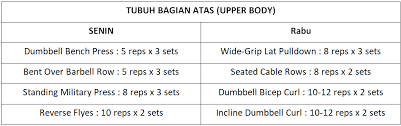 We did not find results for: 5 Program Muscle Building Terbaik Sfidn Science From Indonesia Articles