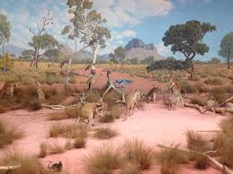 Denver Museum Of Nature And Science Go Play Denver