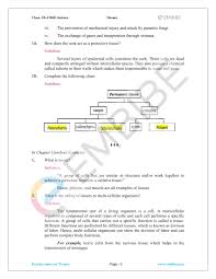 cbse ncert solutions for class 9 science chapter 6 tissues