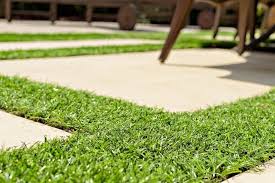 These roots anchor the tree and keep it from falling over. Learn To Lawn Grass Around Trees Gardening On