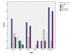 bar chart of the computer expertise level of the various age