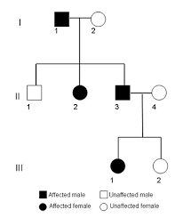 A family tree is the most common form of visually documenting one's ancestry. Pin On Free K 12 Stem Project Ideas