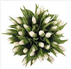 Ralph Thomson Obituary (2011)