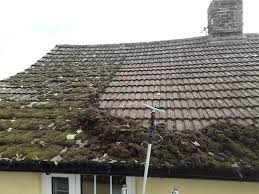 Here's what you need to know to properly replace a shingle roof that has moss growth. Skyvac Skyscraper Telescopic Roof Moss Remover Moss Removal Tool Roofing Superstore