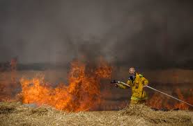 More than 7,000 acres scorched in Gaza ...