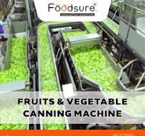 Fruits and Vegetable Canning Machine