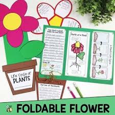 Life Cycle Of Plants 20 Activities Labs By Linda Kamp Teachers Pay Teachers Plant Life Cycle Plants Unit Plant Science