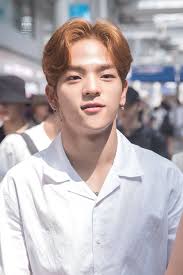 Pin By Anya Fryar Moody On Woojin Kim Woojin Stray Kids Kim Woo Jin Kim