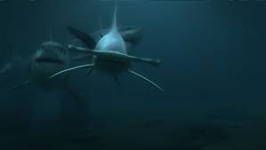 L'armée des profondeurs (titre original : Le Top 5 Des Pires Films De Requins Zavvi France