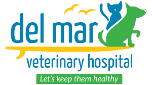 Hoisen, the original owner, retired and turned over the practice to dr. Membership Veterinary Care Charitable Fund