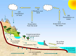 Kegunaan air bagi mahkluk hidup setiap makhluk hidup baik itu manusia tumbuhan maupun hewan pasti membutuhkan barang ini yang sering kita sebut air. Poster Siklus Air Cara Golden