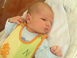 Fotogalerie: FOTOGALERIE: Narodila se další krásná prosincová miminka