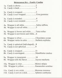 A dichotomous key is a series of statements or characteristics that can be used to identify an organism. Candy Dichotomous Key Dichotomous Key Science Worksheets Science Lesson Activities