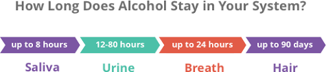 Find a treatment center near you. How Long Does Alcohol Stay In Your System Blood Urine