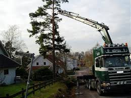 Image result for site:byggahus.se trädfällning