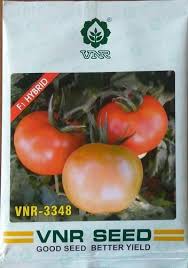 We are located in the napa valley but grow on leased land in solano county just to our east. Vnr Seeds Tomato 3348 Pack Size 10 Gm Rs 350 Packet Hindustan Seeds Private Limited Id 18653160997