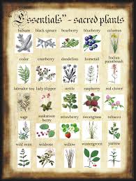 Sacred Plants For Homemade Halloween Spell Book Halloween Spell Book Halloween Spells Spell Book