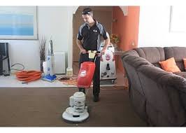 Controlling pests is a common issue in the majority of the areas in the world either homes or offices. 3 Best Carpet Cleaning Service In Tweed Heads Nsw Expert Recommendations