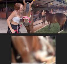 Porn hub xxx🎥🥰🥰 (@pedro_pisa)  X