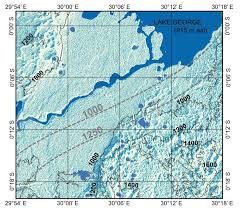 Image result for Swertia usambarensis