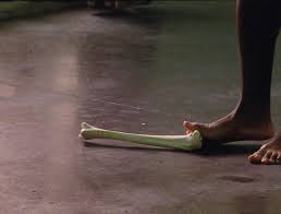 Bildergebnis für Kobby Adi