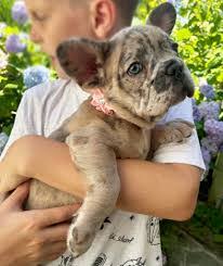 Jenna Markovich's Instagram, Twitter & Facebook