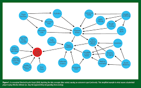 Image result for training effect schema