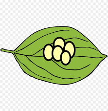 Butterfly Eggs Clipart Leaf Egg Stage Of Butterfly Clipart Png Image With Transparent Background Toppng Please to search on seekpng.com. butterfly eggs clipart leaf egg stage